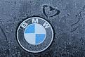 Saxon loves BMW :)